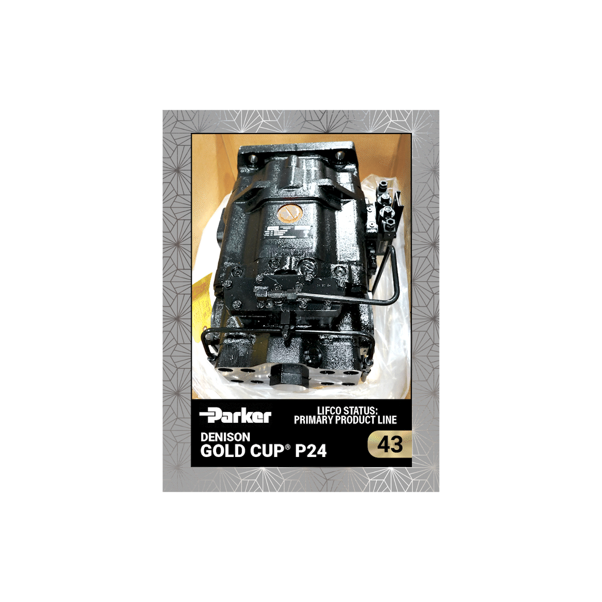 GOLD CUP® P24 Trading Card