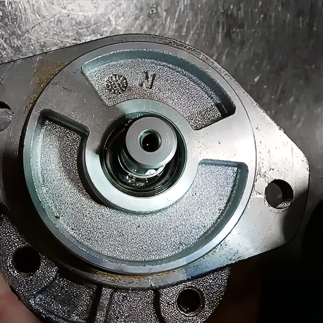 What Causes a Blown Shaft Seal? Gear Motor Inspection Follow-up (PGM 511)