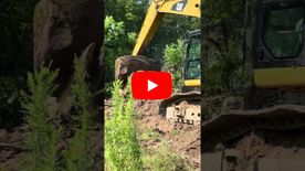 A thumbnail of a video
