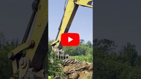 A thumbnail of a video