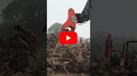 A thumbnail of a video