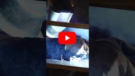 A thumbnail of a video