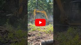 A thumbnail of a video