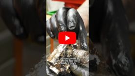 A thumbnail of a video
