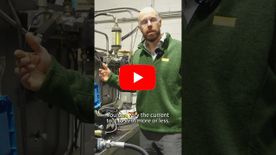A thumbnail of a video