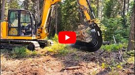 A thumbnail of a video