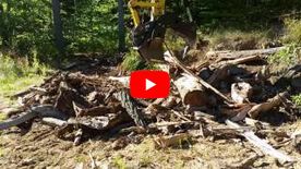 A thumbnail of a video
