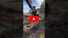 A thumbnail of a video