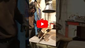 A thumbnail of a video