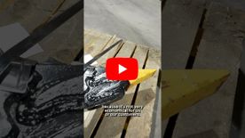 A thumbnail of a video