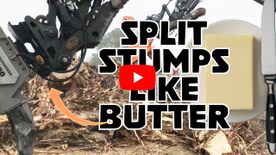 A thumbnail of a video
