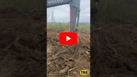 A thumbnail of a video